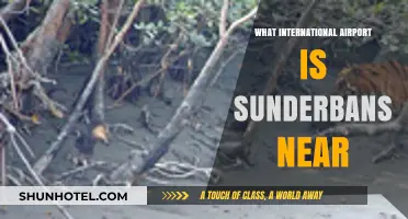 Nearest International Airport to Sunderbans: A Travel Guide for Visitors