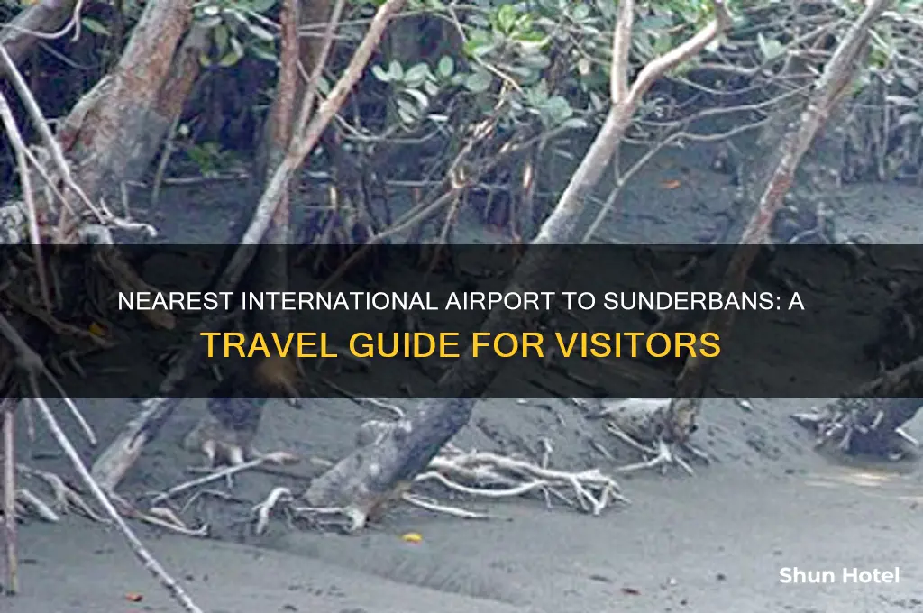 what international airport is sunderbans near