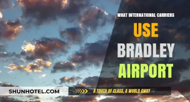 International Carriers Serving Bradley Airport: A Comprehensive Guide