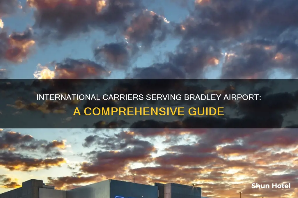 what international carriers use bradley airport