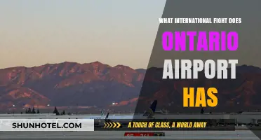Ontario Airport's International Flight Challenges and Opportunities Explored