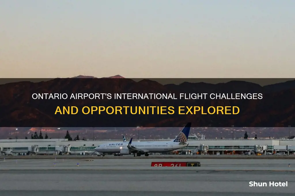 what international fight does ontario airport has