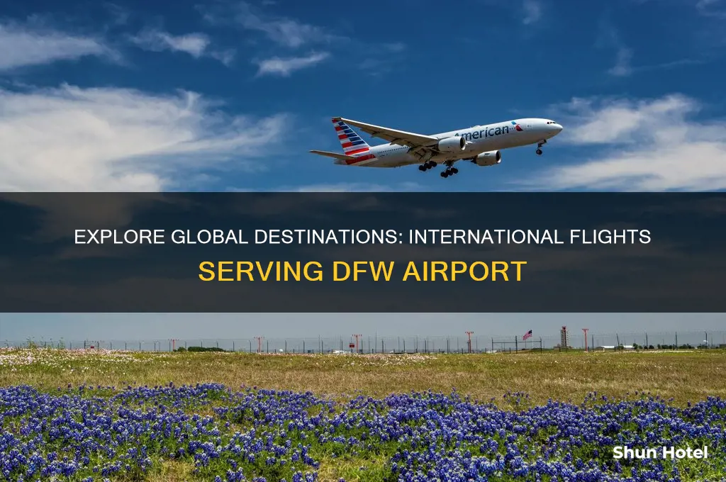 what international flights fly to dfw airport