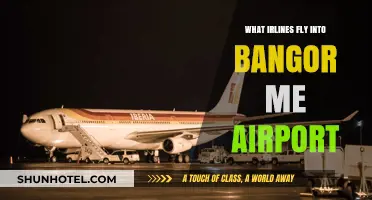 Airlines Serving Bangor ME Airport: Your Complete Guide to Flights