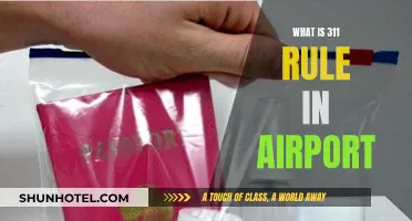 Understanding the 311 Rule: Liquids at Airport Security