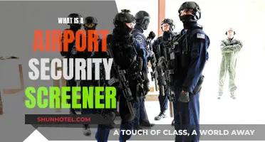 Airport Security Screeners: Protecting the Skies