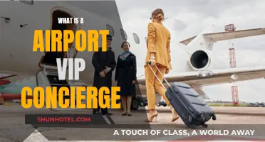 VIP Concierge: Elevate Your Airport Experience