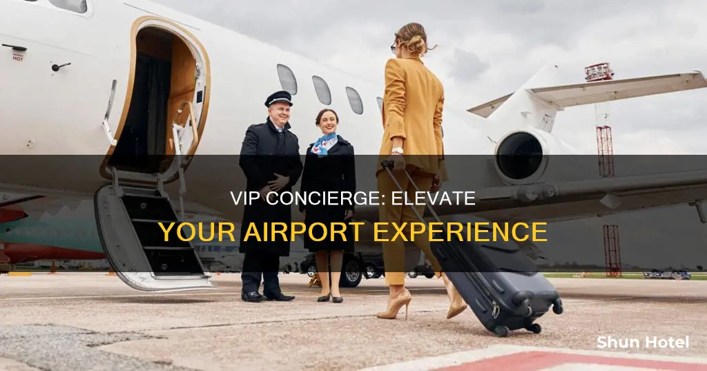 what is a airport vip concierge