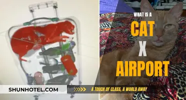 Cat X Airports: Understanding the Complexity