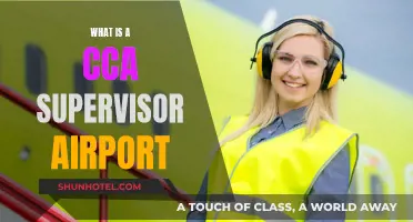Supervising Airport CCAs: What's the Job?