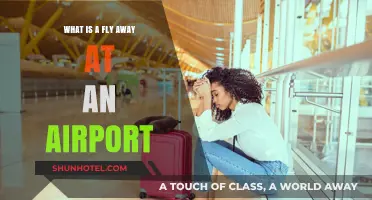 Understanding Airport Fly-Aways: A Comprehensive Guide for Travelers