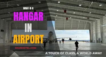 Hangar's Role in Aviation: An Overview