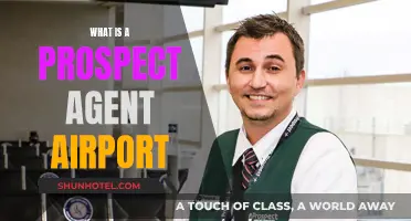 The Future of Airports: Prospect Agent Airports