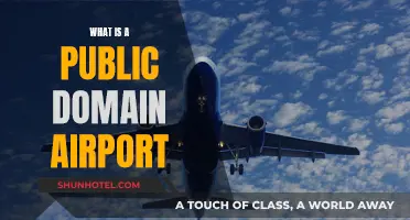 The Freedom of Public Domain Airports