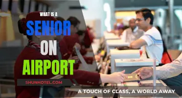 The Role of a Senior Airport Executive