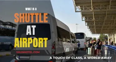 Airport Shuttle Service: Quick Guide to Airport Transfers