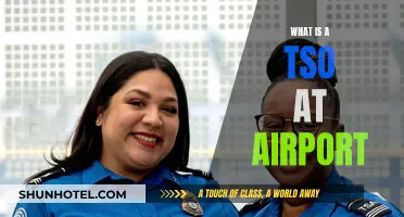 TSO: Airport Security and You