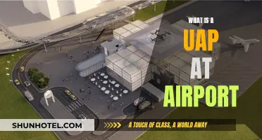 Uncrewed Aircraft Systems: Airport UAPs Explained
