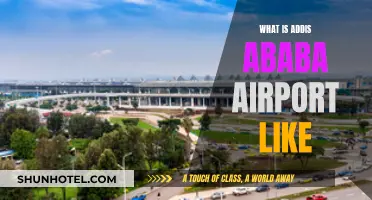 Addis Ababa Airport: A Gateway to Discover