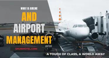 Airline and Airport Management: Ensuring Smooth Operations