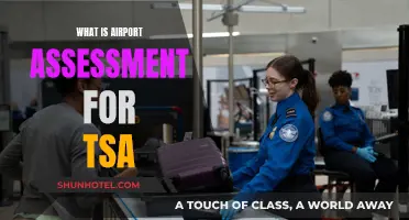 TSA's Airport Assessment: Ensuring Safe Skies