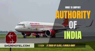 Airport Authority of India: An Overview