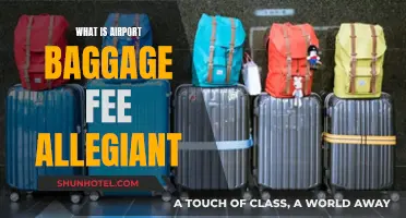 Allegiant Baggage Fees: What You Need to Know