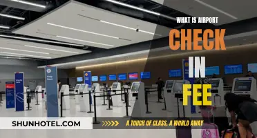 Airport Check-In Fees: What's the Cost?