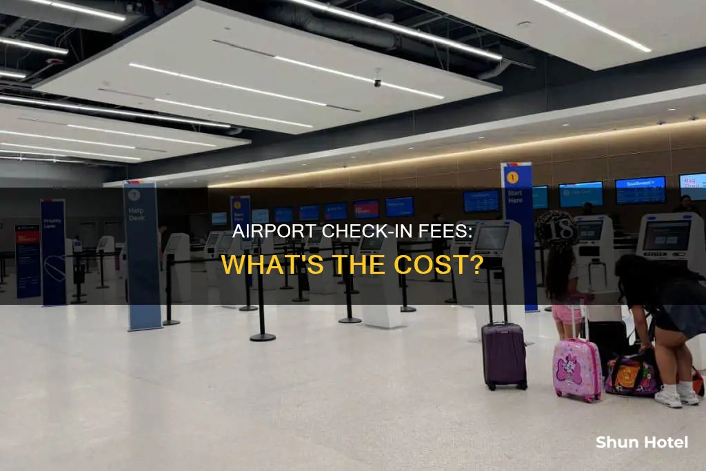 what is airport check in fee
