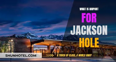 Jackson Hole Airport: A Mountain Gateway