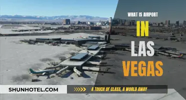 Las Vegas Airport: A Traveler's Guide