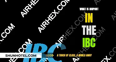 IBC Airport: A Comprehensive Guide