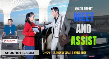 VIP Airport Experience: Meet and Assist Services