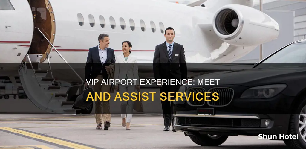 what is airport meet and assist