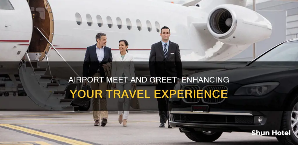 what is airport meet and greet