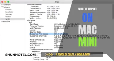 Explore Mac Mini's Airport: What, Why, and How