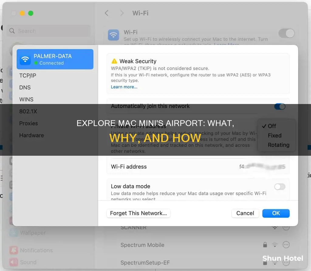 what is airport on mac mini