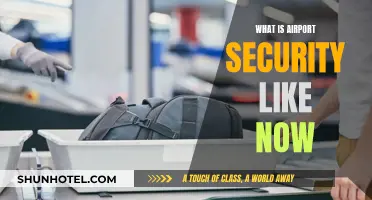 Airport Security: What's Changed and What to Expect