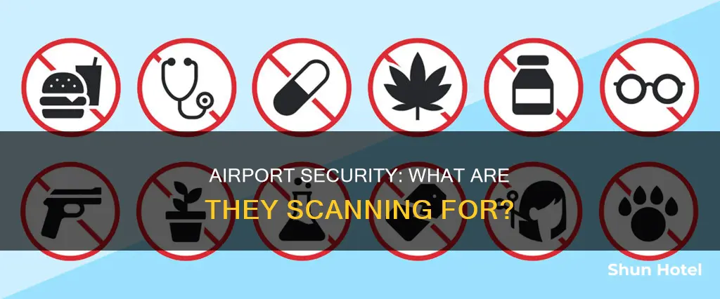 what is airport security looking for