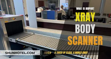X-ray Body Scanners: How Do Airport Scanners Work?