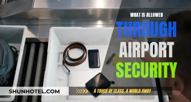 Airport Security: What Can I Bring?