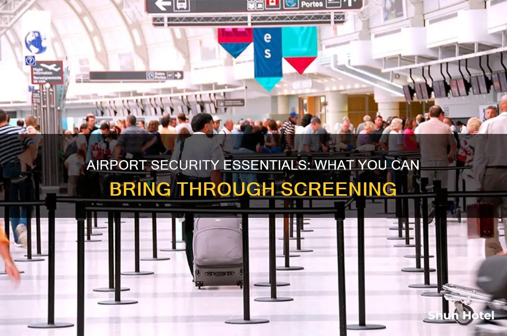 what is alowed to get airport security