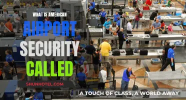 Airport Security: The American TSA Experience