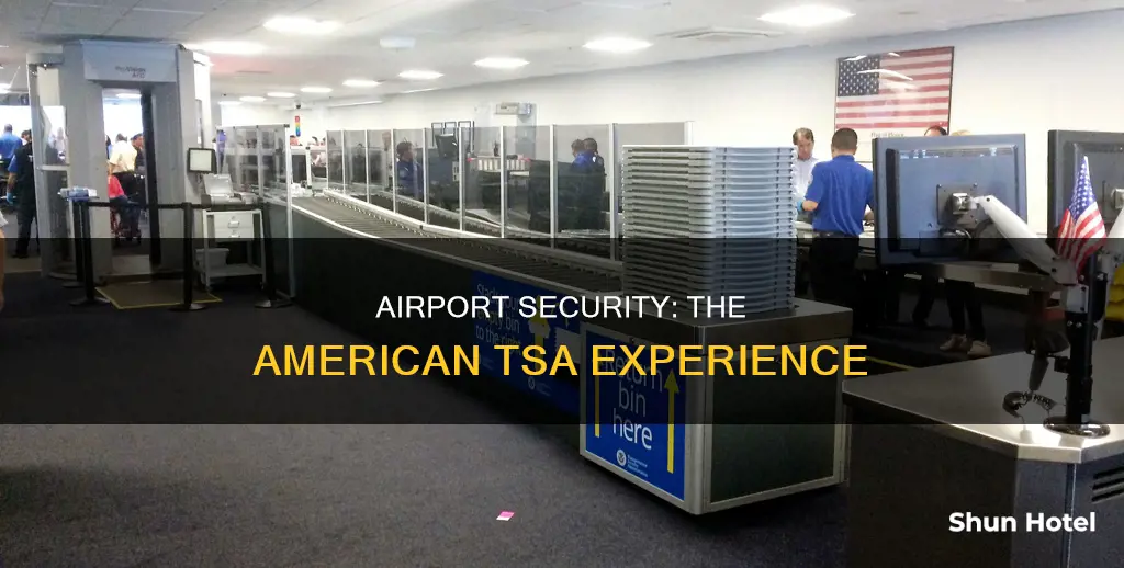 what is american airport security called