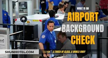 Airport Background Checks: Who, What, and Why?