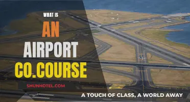 Airport Co-Course: What's the Deal?