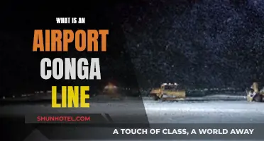 Airport Conga Line: How It Works and Why It Forms