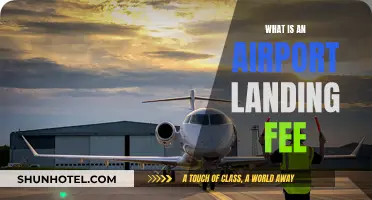 Airport Landing Fees: What's the Cost to Touch Down?