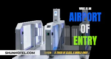 Understanding Airports of Entry: What and Why
