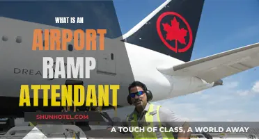 The Crucial Role of Airport Ramp Attendants